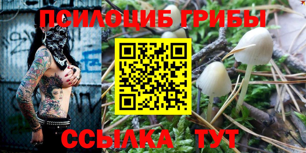 Псилоцибиновые грибы GOLDEN TEACHER Североуральск